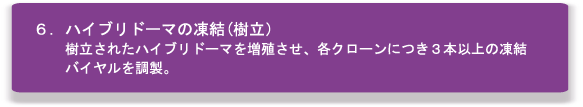 モノクローナル抗体作製