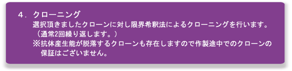 モノクローナル抗体作製
